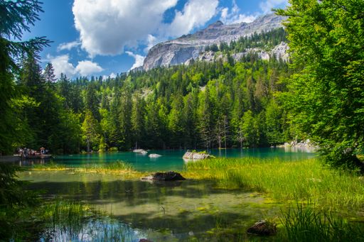 A green landscape of  Lac Vert lake in Chamonix in Haute Savoie in France