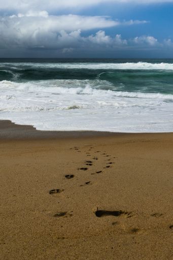 A vertical shot of a beach with footprints under a cloudy sky