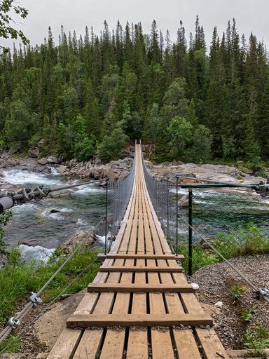 A wooden bridge to a green dense forest in the North of Sweden