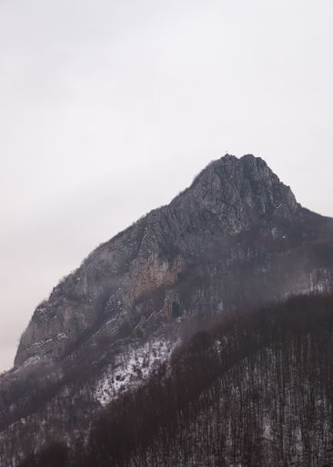 A beautiful vertical panoramic view of a mountain covered with trees