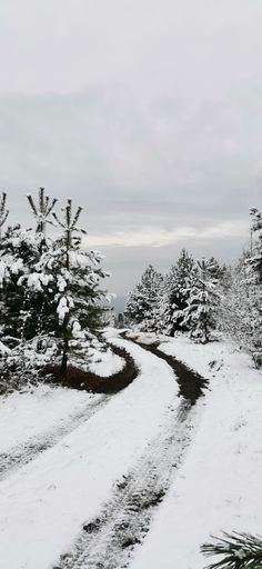 A vertical shot of a pathway in the forest covered in snow