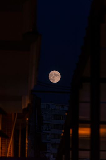 A vertical shot of a full moon in the night sk