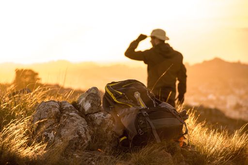 Silhouette of a hiker with backpack at sunset, enjoying scenic view over grassy landscape, warm golden light.