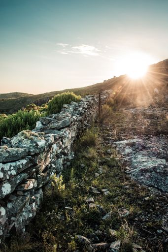Sunset over a stone wall in a rural landscape with lush greenery and a bright sunburst in the sky.