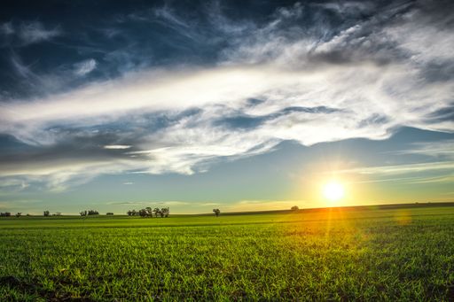 Sunset over a vast green field with dramatic clouds and a bright sun, creating a serene and picturesque landscape.