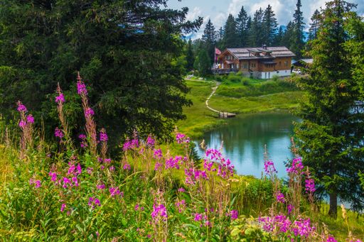 A beautiful landscape of the Alps in Switzerland and the lake of Retaud