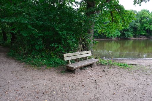 An empty old rustic weathered wooden bench overlooking the beautiful lake surrounded by green trees