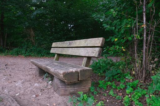 An empty old rustic weathered wooden bench near the lake surrounded by green trees