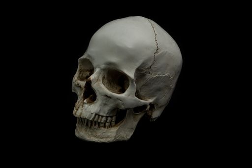 A white human skull isolated on a black background