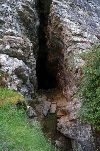 A vertical shot of a cave in the hill surrounded by greenery