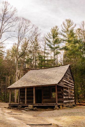A rustic wooden cabin in a forest setting with bare trees and a cloudy sky, evoking a peaceful, natural atmosphere.