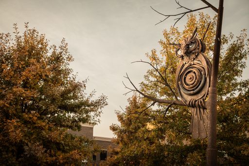 A metal owl sculpture perched on a tree branch surrounded by autumn foliage against a cloudy sky, capturing the essence of fall.