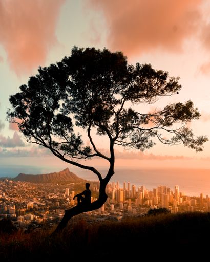 A vertical shot of a silhouette of a person sitting on a tree on a mountain and the big city below