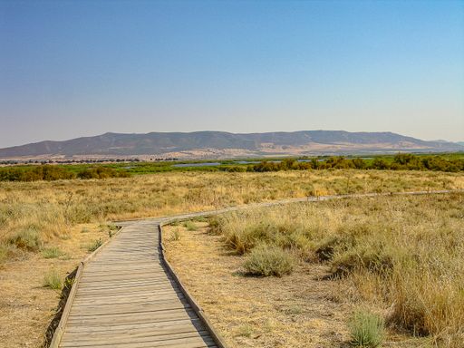 Wooden path cutting through prairie leading to majestic mountains