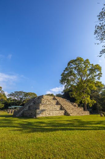 Ancient Mayan ruins in Copan, Honduras surrounded by trees