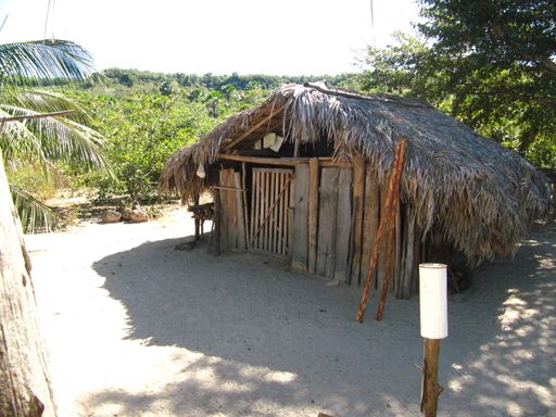 A wooden hut on the sand surrounded by dense trees on a sunny day in Brazil