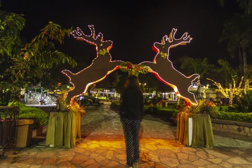A woman standing in front of two decorations of reindeer shining at night in the park