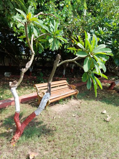A vertical shot of a wooden bench in the park