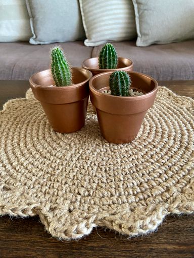 Three potted cactuses on a jute table mat; houseplants and interior of a living room