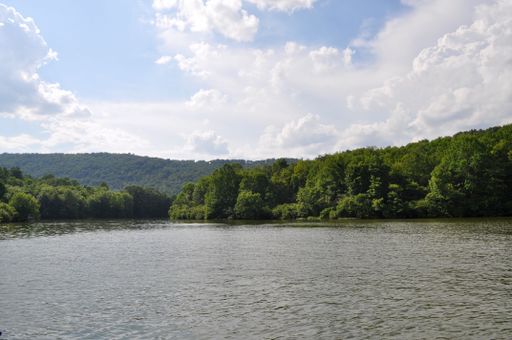 A scenic view of a tranquil lake surrounded by lush green forest under a blue sky with fluffy clouds.
