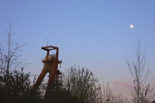 A tower surrounded by trees under the full moon