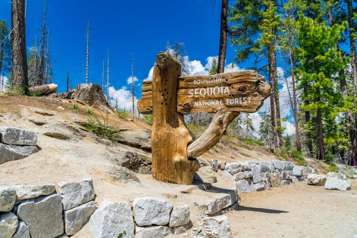A rustic wooden sign marks the boundary of Sequoia National Forest under a vibrant blue sky and surrounded by lush trees.