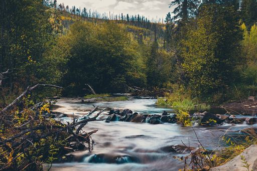 The scenic nature of Little Colorado River in Greer in the morning, Arizona