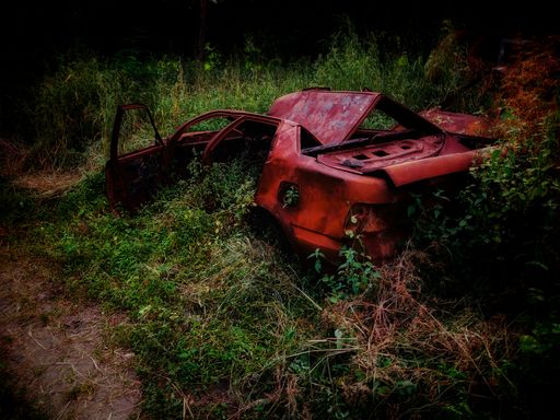 A rusted car metal in the grass in a forest