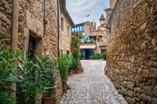 An empty narrow alley with potted plants between old rough weathered stone buildings on a sunny day
