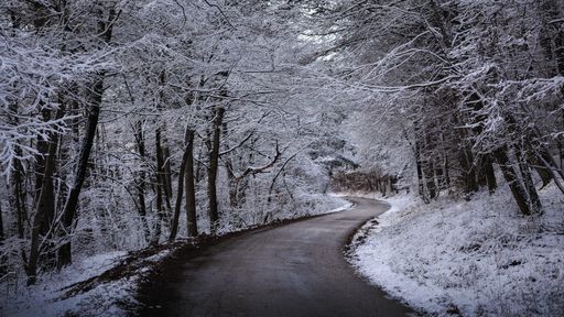 A beautiful shot of a concrete road surrounded with forest covered with white snow during winter