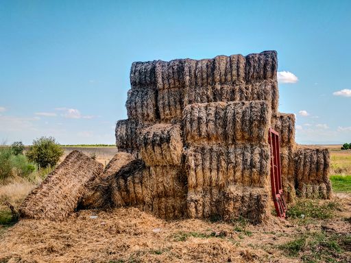 Several blocks of dry grass on top of each other