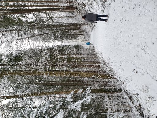 A flipped shot of Tourists hiking in the winter forest near Lunz am See
