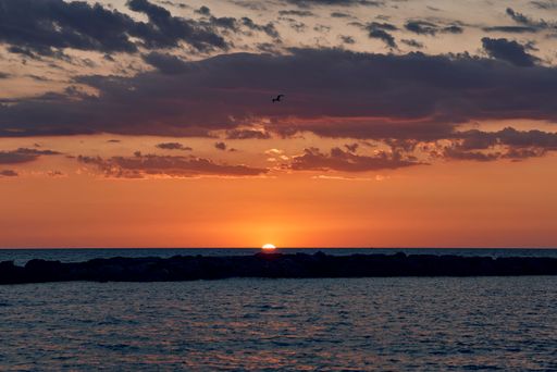 A serene sunset over a tranquil ocean with a bird flying above, creating a peaceful and picturesque scene.