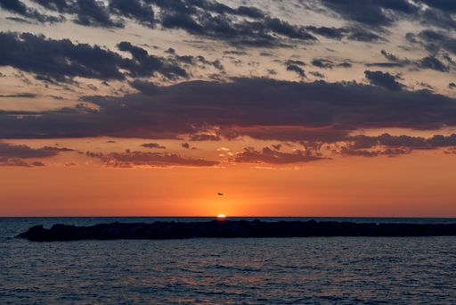 A serene sunset over a calm sea with a silhouetted bird flying, creating a peaceful and tranquil scene.