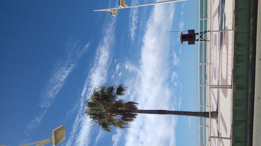 A scenic view of a wooden pier, palm tree, and lifeguard tower on a cloudy day