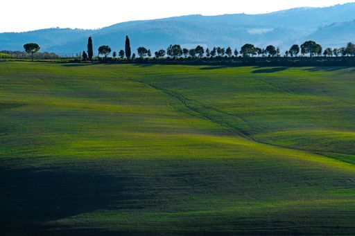 A landscape of a field covered in greenery surrounded by hills under the sunlight at daytime