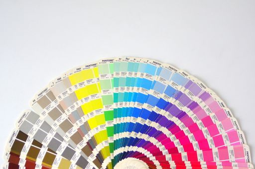 A closeup shot of a color palette for painting walls