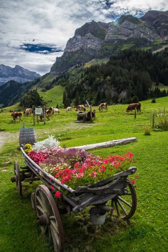 A decorative wooden cart with flowers in the countryside, Valais, Switzerland