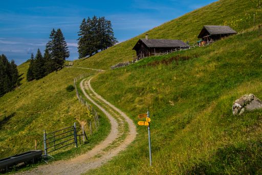 A beautiful view of the wooden houses on the grassy hills in Switzerland