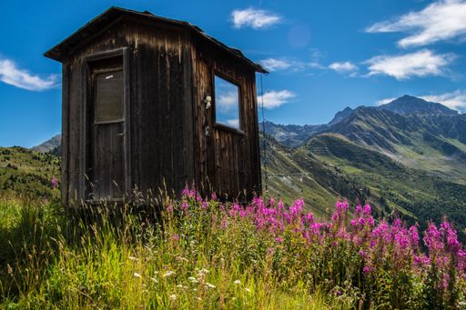 A beautiful rural scene of a wooden rural house and purple flowers growing on hills in Verbier