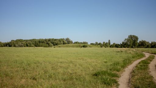 A wide shot a green grass field surrounded by trees under a clear blue sky