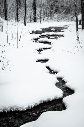 A vertical shot of a river in the forest with a ground covered with white snow during winter
