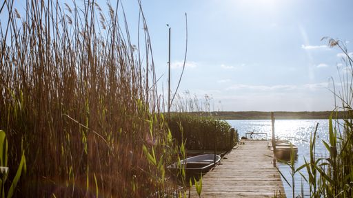 A wide shot of grass and boats near a wooden dock on the body of water under a blue sky