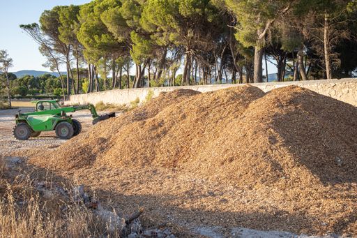 Shredded wood for the production of natural fuel, biomass, composting. From sustainable forest.