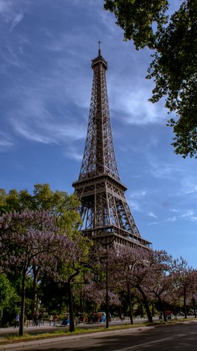 A vertical shot of trees near the Eiffel Tower under a blue sky in Paris, France