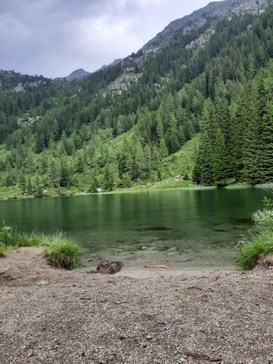 A vertical shot of a lake or a river surrounded by trees and hills