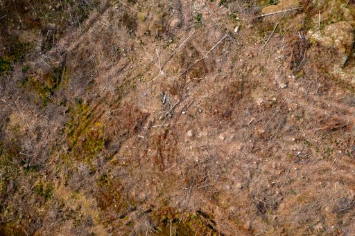 Aerial view above damaged nature at a deforestation area - screwdriver, drone shot