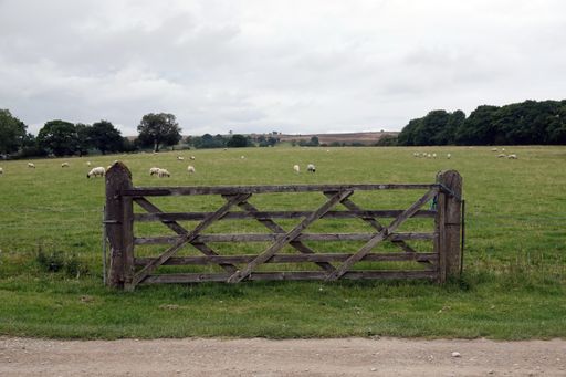 An old wooden gate in front of a sheep farm with sheep grazing in the background under a gloomy sky