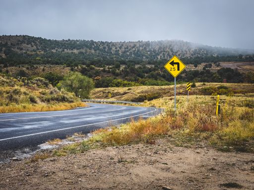 A road in greenery with a direction sign on a gloomy day