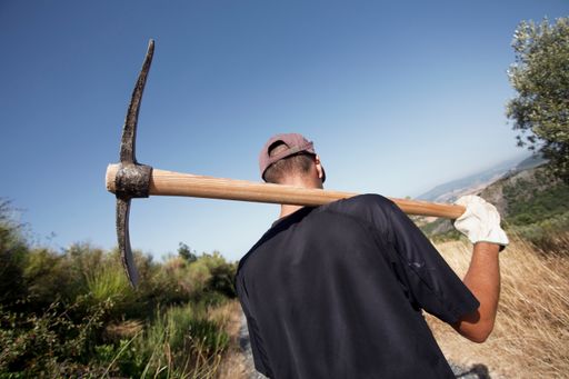 The young male farmer walking with pickaxe on his shoulder in the garden